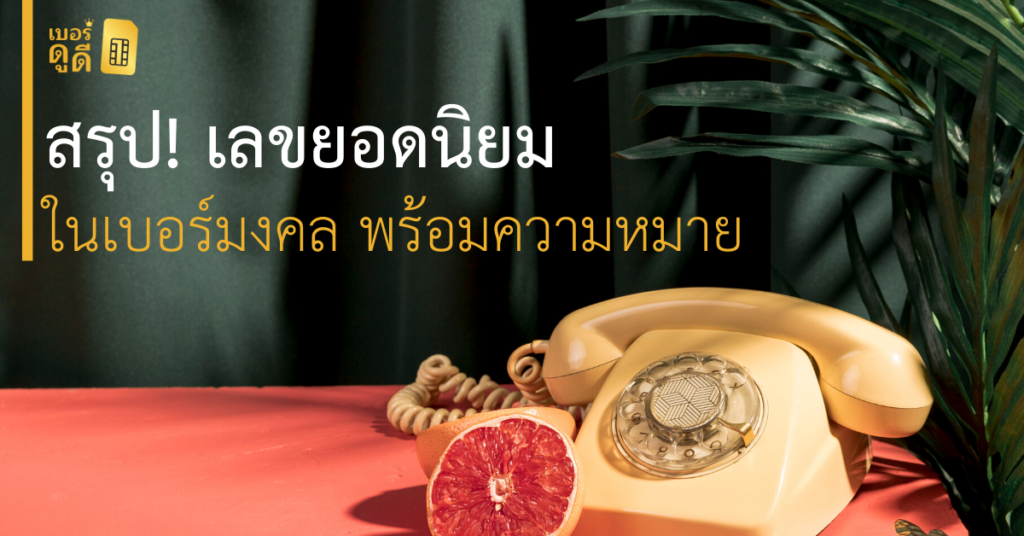 บทความ เบอร์ดูดี สรุป! เลขยอดนิยมในเบอร์มงคล พร้อมความหมาย